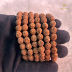 Natural 5 MUKHI RUDRAKSHA BRACELET - Image 2
