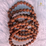 Natural 5 MUKHI RUDRAKSHA BRACELET - Image 3